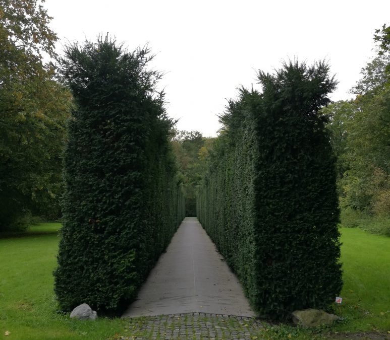 Besuch beim Niederländischen Dachau-Komitee